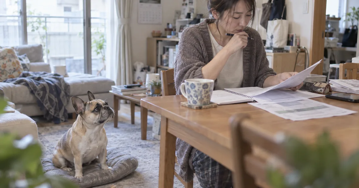 食卓で料金表を見比べる30代の女性と、クッションの上から見上げるフレンチブルドッグ