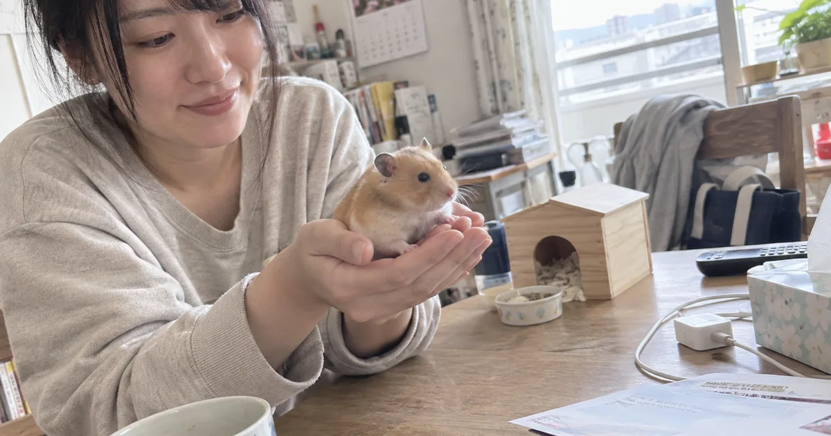 両手にのったゴールデンハムスター