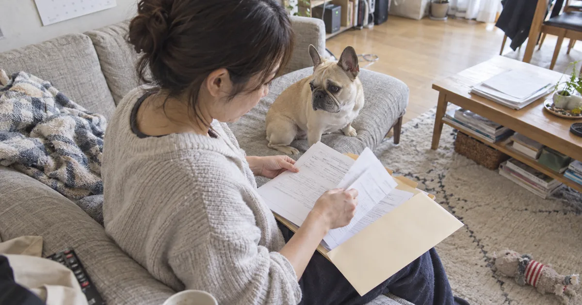 ソファで書類をファイルに整理する30代の女性と、隣で見守るフレンチブルドッグ